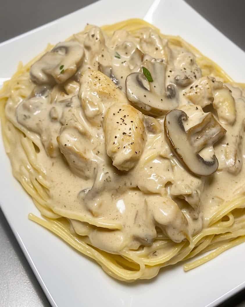 creamy chicken mushroom spaghetti